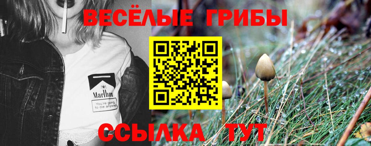 Псилоцибиновые грибы прущие грибы Ангарск