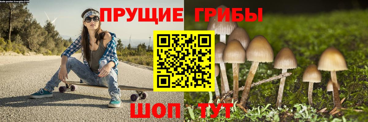 Галлюциногенные грибы Psilocybine cubensis  Вход с VPN  Ангарск  Псилоцибиновые грибы ЛСД 